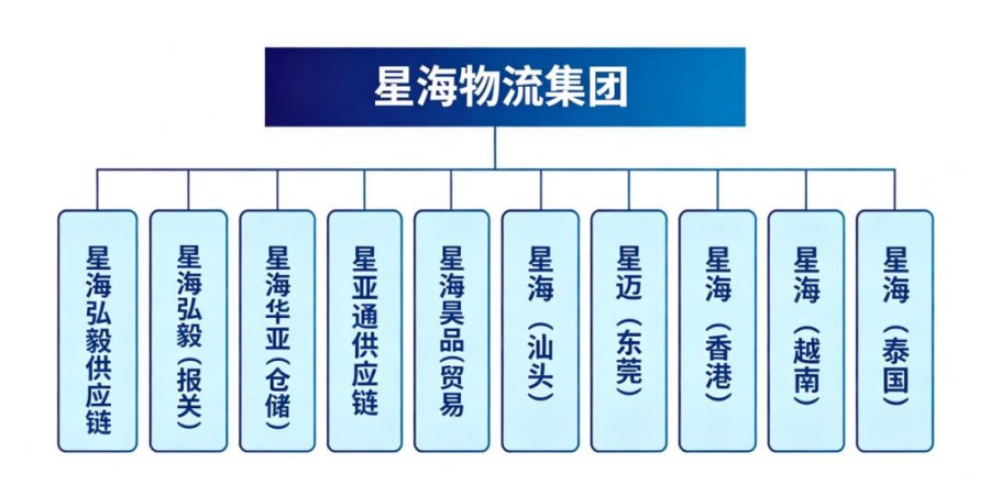 深耕跨境综合物流，深圳市星海物流凭借专业服务收获客户广泛好评