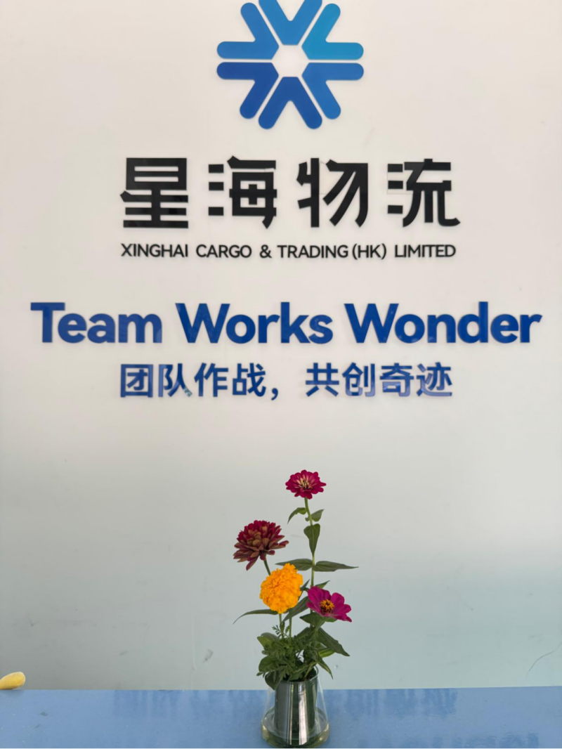星海物流星二代工程首期公益游学圆满收官筑梦青春赋能成长